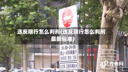 违反限行怎么判刑(违反限行怎么判刑最新标准)