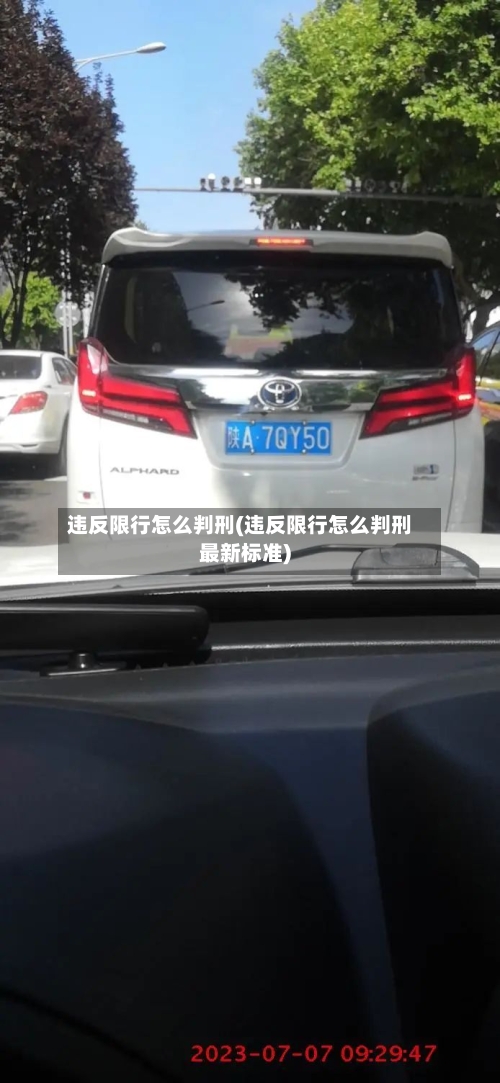 违反限行怎么判刑(违反限行怎么判刑最新标准)-第3张图片