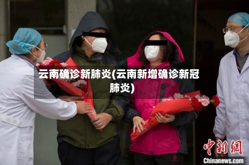 云南确诊新肺炎(云南新增确诊新冠肺炎)