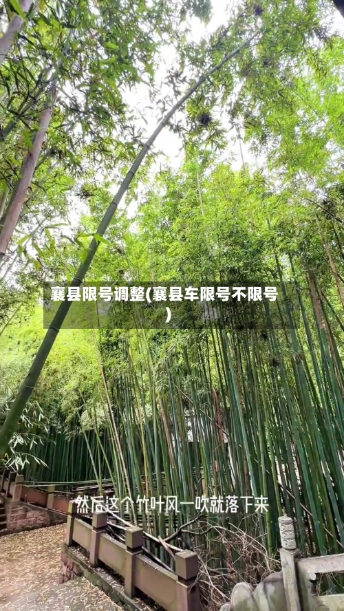 襄县限号调整(襄县车限号不限号)-第2张图片