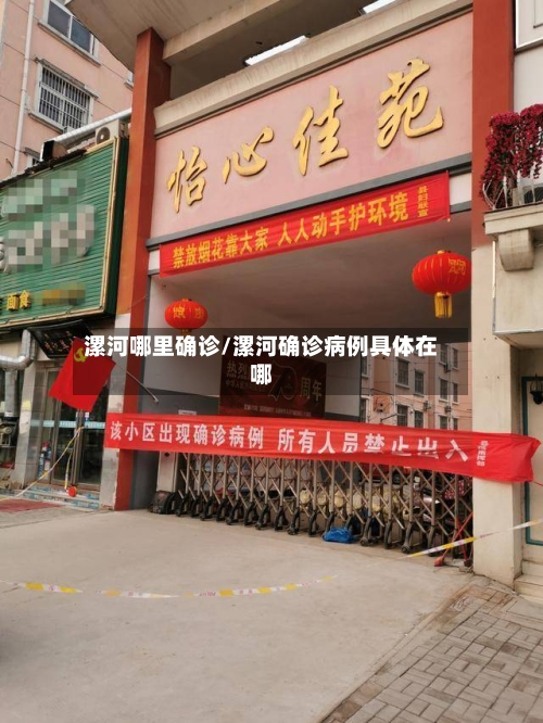 漯河哪里确诊/漯河确诊病例具体在哪-第3张图片