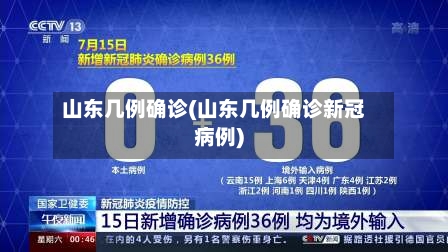 山东几例确诊(山东几例确诊新冠病例)-第2张图片