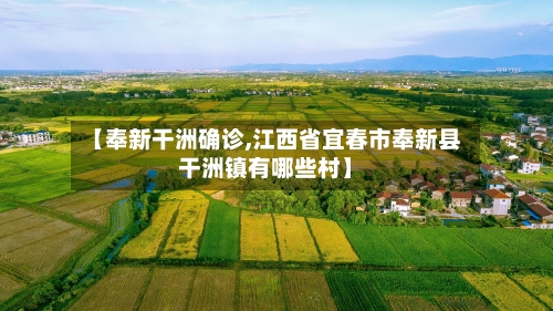 【奉新干洲确诊,江西省宜春市奉新县干洲镇有哪些村】-第2张图片