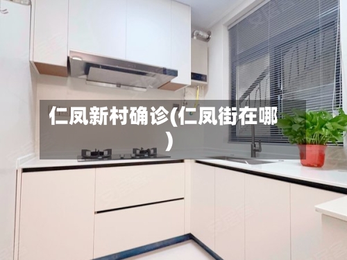 仁凤新村确诊(仁凤街在哪)-第2张图片