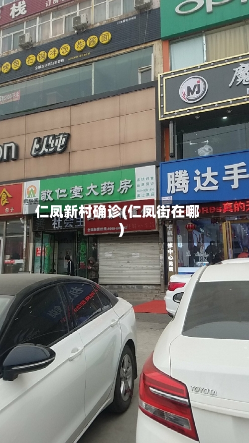 仁凤新村确诊(仁凤街在哪)