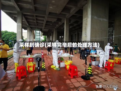 采样到确诊(采样完毕后的处理方法)-第3张图片