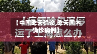 【中国昨天确诊,昨天国内确诊病例】-第2张图片