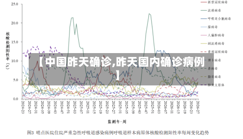 【中国昨天确诊,昨天国内确诊病例】