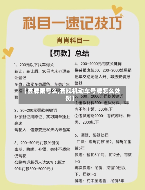 【套牌限号么,套牌机动车号牌怎么处罚】-第2张图片