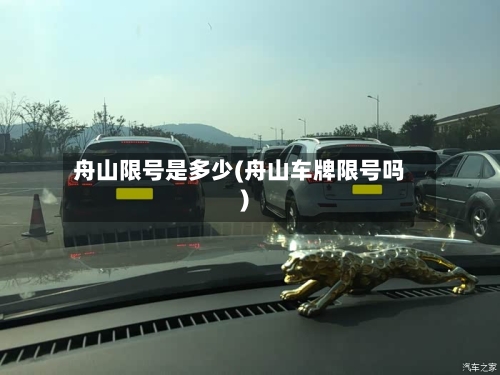 舟山限号是多少(舟山车牌限号吗)-第2张图片