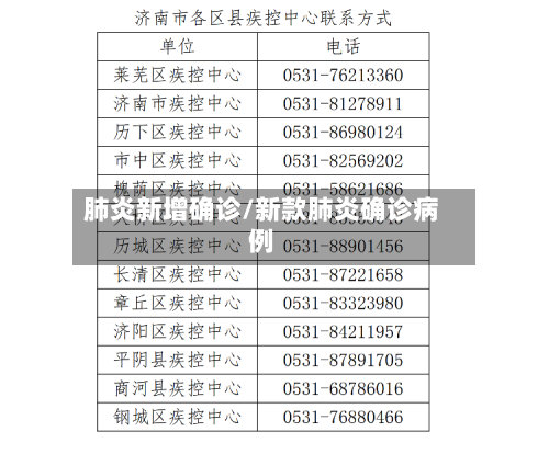 肺炎新增确诊/新款肺炎确诊病例-第2张图片