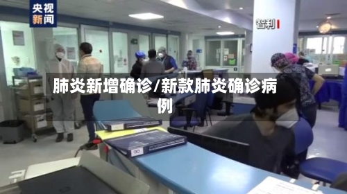 肺炎新增确诊/新款肺炎确诊病例