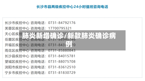 肺炎新增确诊/新款肺炎确诊病例-第3张图片