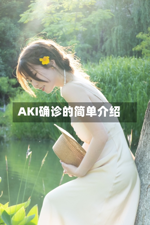 AKI确诊的简单介绍