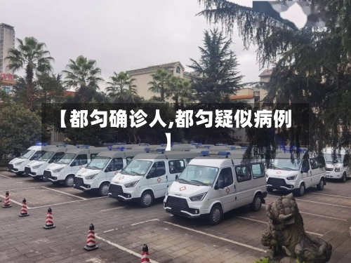 【都匀确诊人,都匀疑似病例】-第3张图片