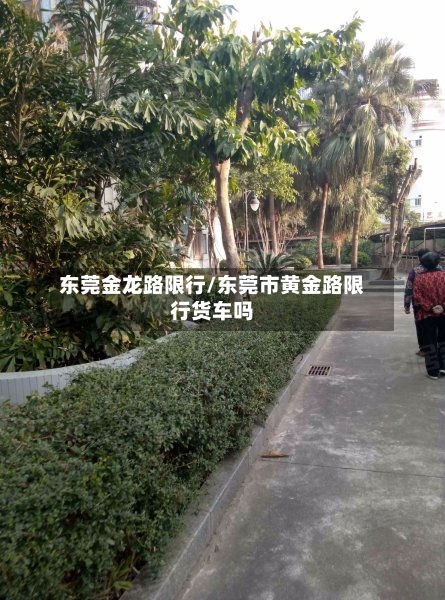 东莞金龙路限行/东莞市黄金路限行货车吗-第2张图片