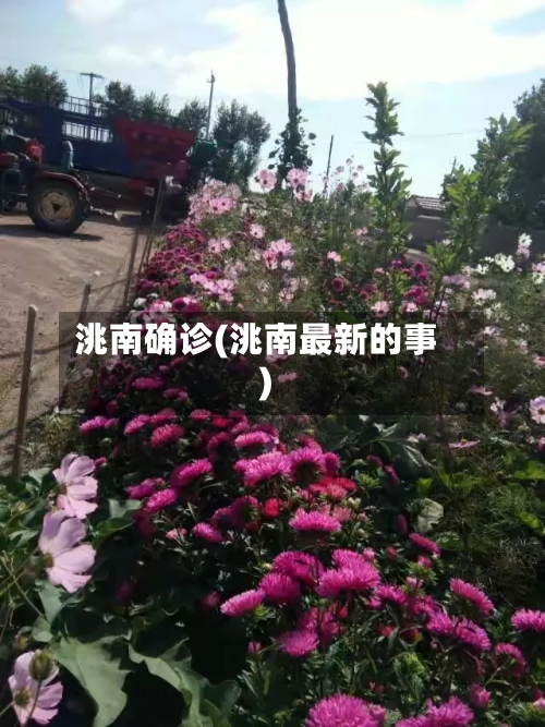 洮南确诊(洮南最新的事)-第2张图片