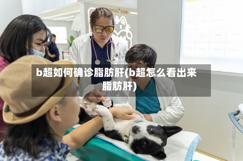 b超如何确诊脂肪肝(b超怎么看出来脂肪肝)