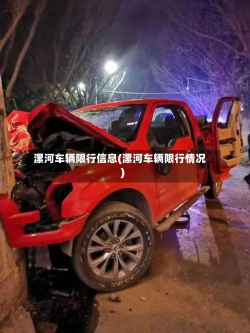 漯河车辆限行信息(漯河车辆限行情况)
