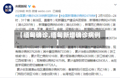 【缅甸确诊,缅甸新增确诊病例】-第3张图片