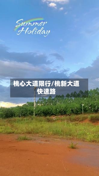 桃心大道限行/桃新大道快速路