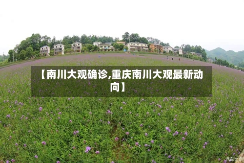 【南川大观确诊,重庆南川大观最新动向】