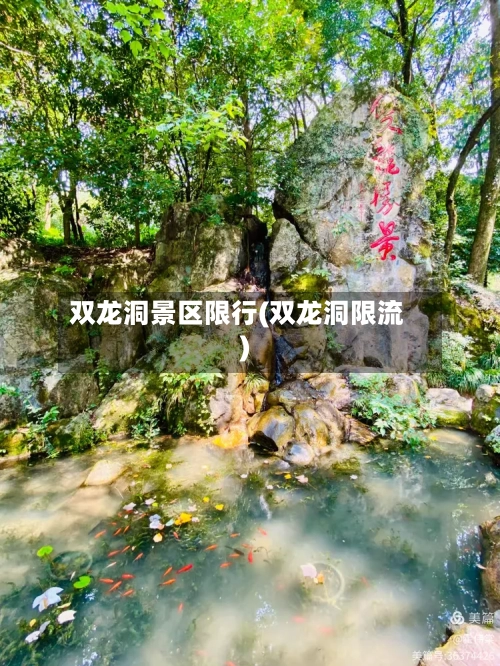 双龙洞景区限行(双龙洞限流)