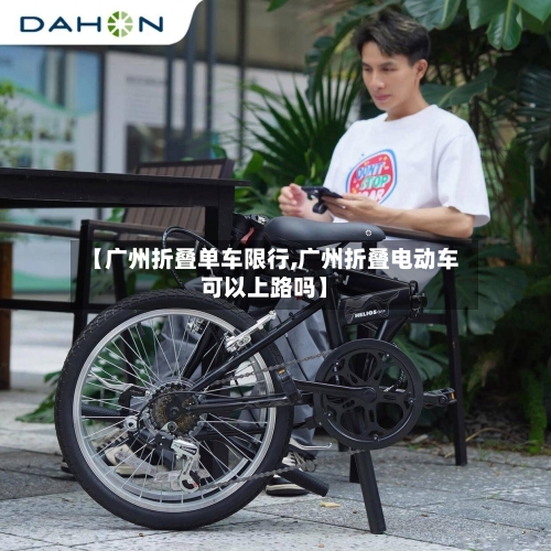 【广州折叠单车限行,广州折叠电动车可以上路吗】-第2张图片