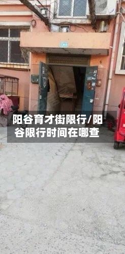 阳谷育才街限行/阳谷限行时间在哪查-第3张图片