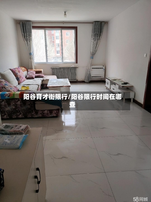 阳谷育才街限行/阳谷限行时间在哪查-第2张图片