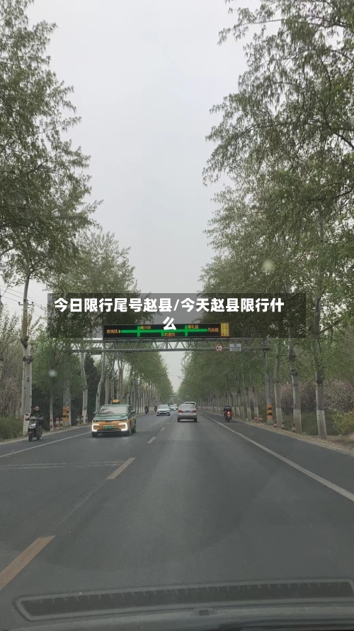 今日限行尾号赵县/今天赵县限行什么
