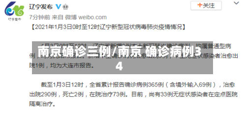 南京确诊三例/南京 确诊病例34