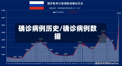 确诊病例历史/确诊病例数据