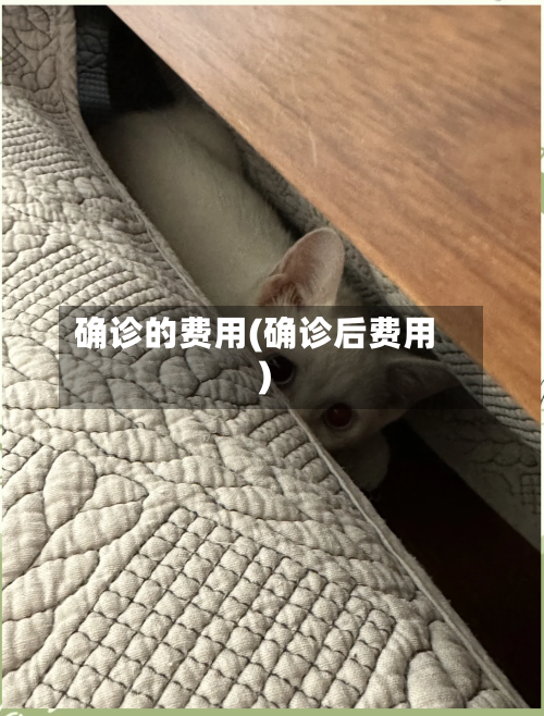 确诊的费用(确诊后费用)
