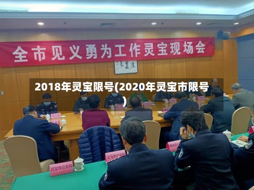 2018年灵宝限号(2020年灵宝市限号)
