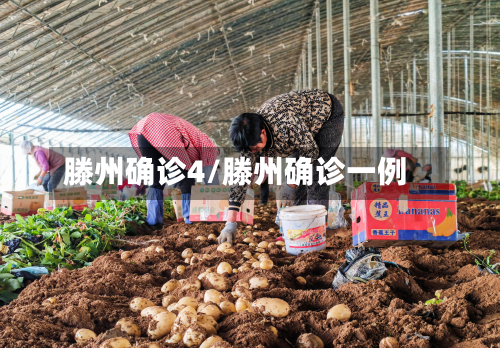 滕州确诊4/滕州确诊一例-第3张图片