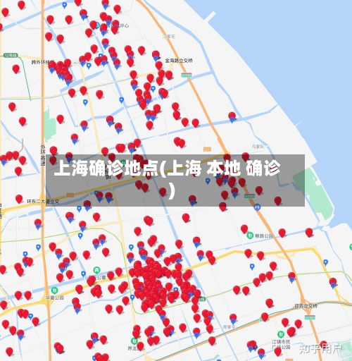 上海确诊地点(上海 本地 确诊)-第3张图片