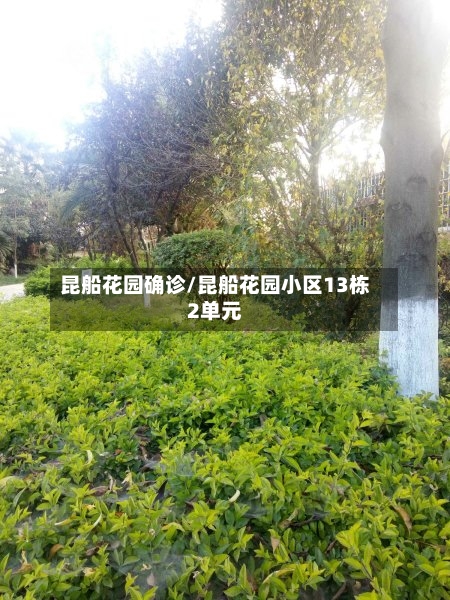 昆船花园确诊/昆船花园小区13栋2单元-第2张图片