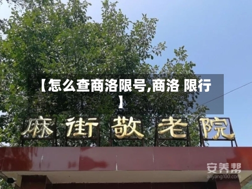 【怎么查商洛限号,商洛 限行】-第3张图片
