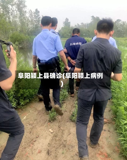 阜阳颍上县确诊(阜阳颍上病例)