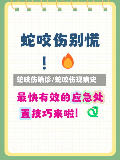 蛇咬伤确诊/蛇咬伤现病史