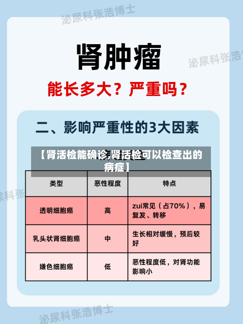 【肾活检能确诊,肾活检可以检查出的病症】