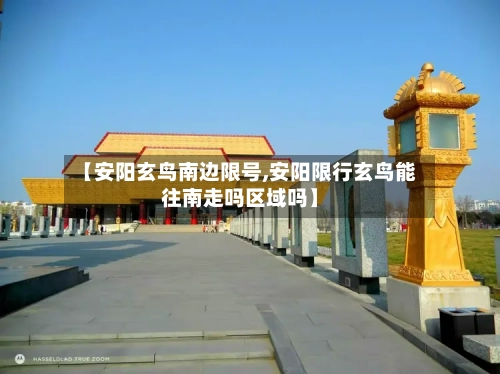 【安阳玄鸟南边限号,安阳限行玄鸟能往南走吗区域吗】-第3张图片
