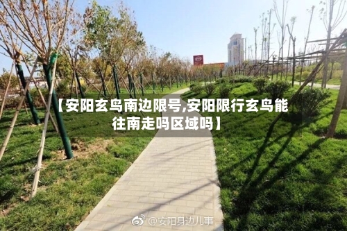 【安阳玄鸟南边限号,安阳限行玄鸟能往南走吗区域吗】-第2张图片