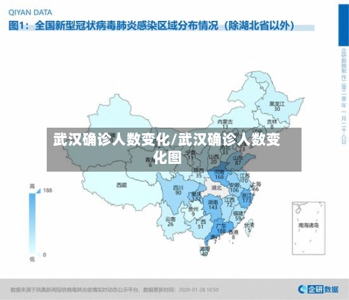 武汉确诊人数变化/武汉确诊人数变化图