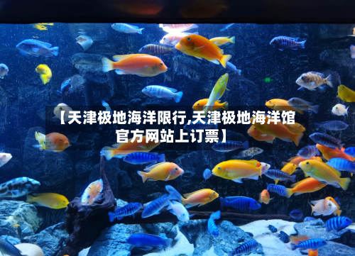 【天津极地海洋限行,天津极地海洋馆官方网站上订票】-第2张图片