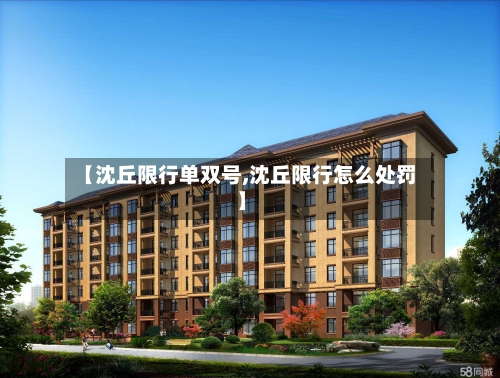 【沈丘限行单双号,沈丘限行怎么处罚】-第2张图片