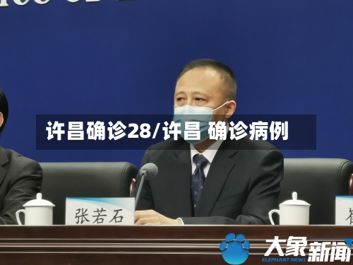许昌确诊28/许昌 确诊病例