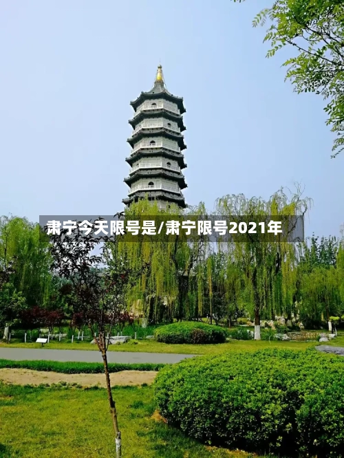 肃宁今天限号是/肃宁限号2021年