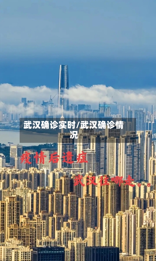 武汉确诊实时/武汉确诊情况-第3张图片